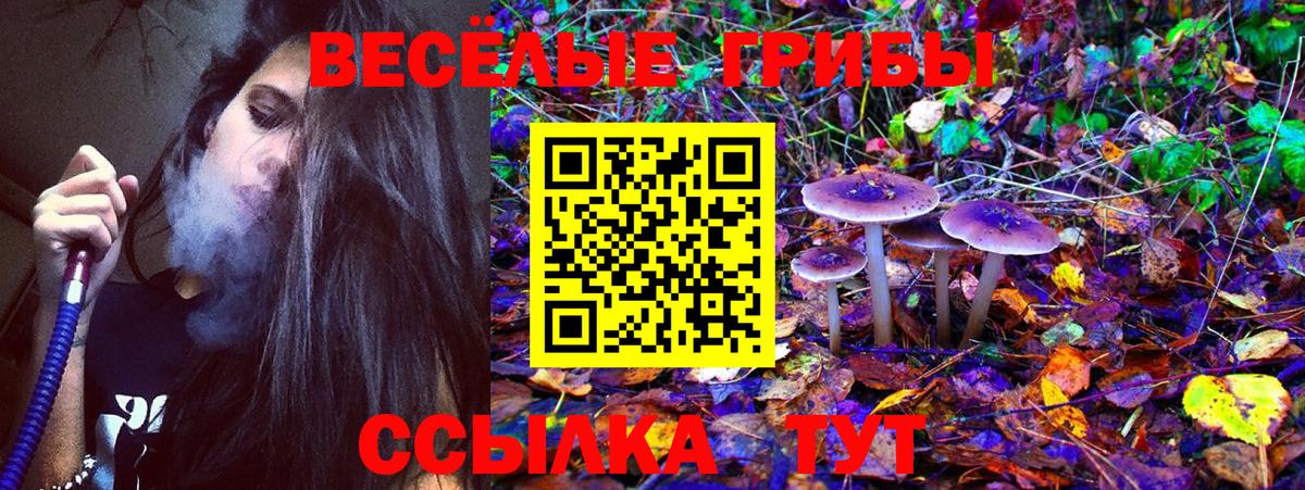 Псилоцибиновые грибы прущие грибы  Псилоцибиновые грибы мухоморы  Ишимбай  Вход с VPN 
